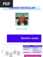 Torsion Testicular Expo