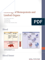 2.histologi Darah