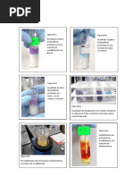 Biologia Less1