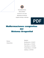 Malformaciones Congenitas Del Sistema Urogenital