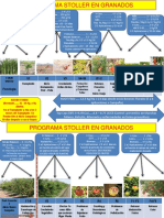 Programa de Nutricion Foliar Stoller en El Cultivo de Granado - Perú.