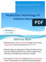 Nishanth Rao - Dolichos Bean