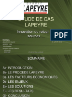 Projet Stratégie D'entreprise - LAPEYRE - Etude de Cas - 25092008