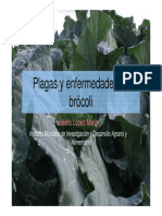 2 Brocoli ParteI PDF