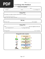 1.4.6 Energy Flow Worksheet