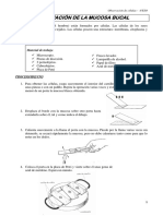 P1. Observación de Células - Eucariotas y Procariotas