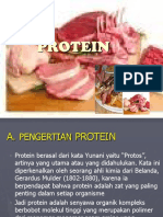 Protein