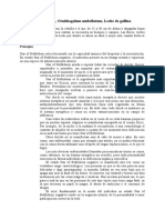 PDF Documento