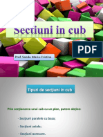 Sectiuni Animate in Cub