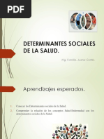 Determinantes Sociales de La Salud