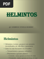 Helmintos 1