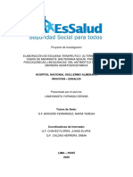 Proyecto Essalud