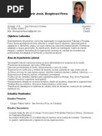 Curriculum Vitae Actualizado