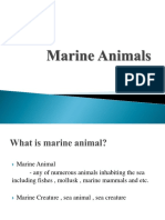 Marine Animals