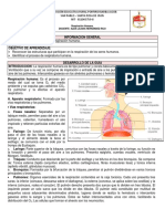 Guía 1 La Respiración Humana