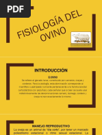 Fisiología Del Ovino