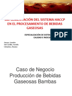 Haccp en Bebidas Gaseosas