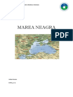 Marea Neagra