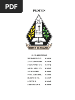 Biokimia Protein Kelompok 2.2