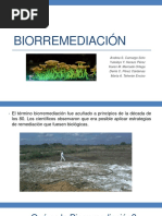 Biorremediación