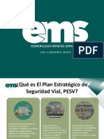 PESV Plan Estrategico de Seguridad Vial