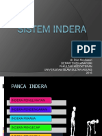 Anatomi Sistem Indera