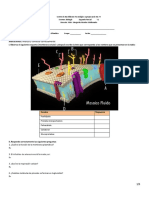 Examen Biología 2P