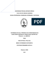 Tesis Fernandini PDF