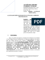 Medida Cautelar Innovativa 1 - Contra La Municipalidad de Chyo