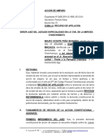 Recurso de Apelacion de Accion de Amparo - Mauro Peña Munares