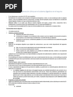 Exploración Clínica Sistema Digestivo Equino