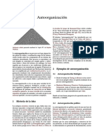 Autoorganizacion PDF