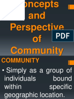 Concepts and Perspective of Community