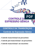 Aula 5 - Controle Da Expressao Genica