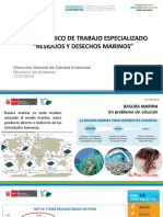 5S PPT-GTTE-Residuos-y-desechos-marinos-17.07.18