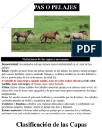 Pelajes Caballos PDF