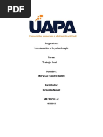 Trabajo Final de Introducion A La Psicoterapia