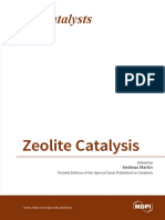 No-Zeolite Catalysis PDF