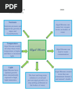 Graphic Organizers For DRRR