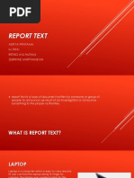 Report Text