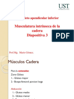 Diapositiva N°3 Musculos Externos de La Cadera y Muslo