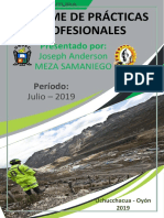 Practicas Profesionales PDF