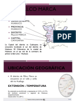 Analisis de Pillco Marca