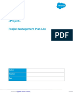 Project Management Plan Lite Template