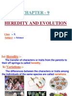 Heredity Class 10