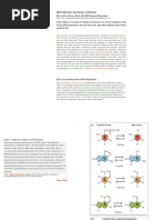 DNA Replication and Causes of Mutation