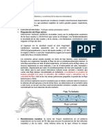 Fisiología de La Nariz y Senos Paranasales