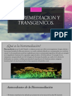 Biorremediacion y Transgenicos