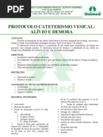 Protocolo Cateterismo Vesical Alívio e Demora