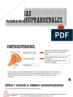 Diana Zaruma-Hormonas Corticosuprarrenales